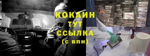 СК Алексин