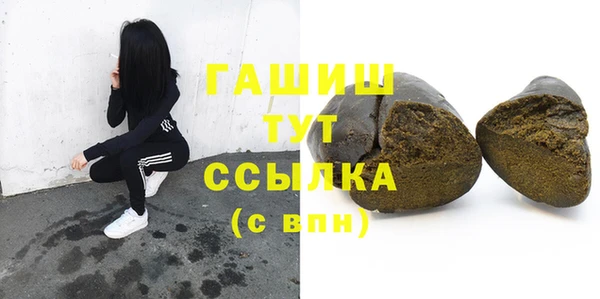 СК Алексин