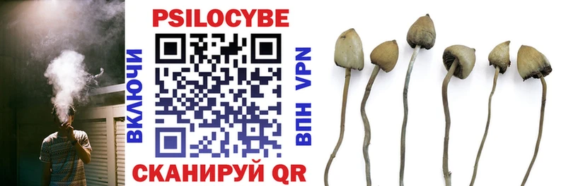 Псилоцибиновые грибы Cubensis  где найти   Батайск 